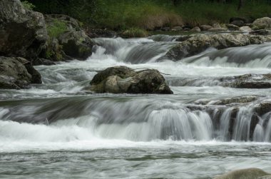Smokies 'deki Kükreyen Çatal Deresi' nde çağlayan beyaz su