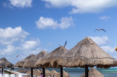Turistlerin üzerinden uçan martılar Meksika 'nın güzel plajı Cancun' un tadını çıkarıyorlar.