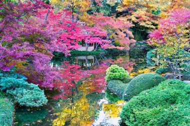 Sonbahar rengi ve gölün yansımaları.