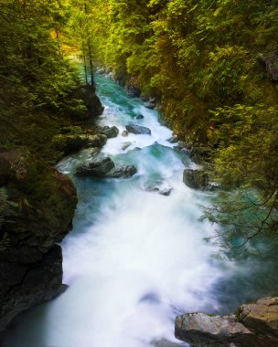 İngiliz Kolumbiyası Lynn Canyon Parkı 'nda şelale suları.