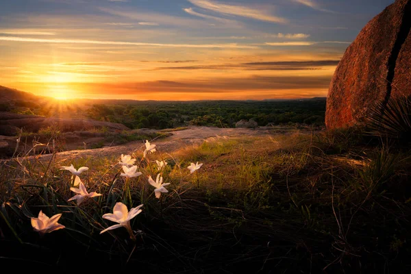 Prachtige Zonsopgang Enchanted Rock State Park Bij Fredericksburg — Stockfoto