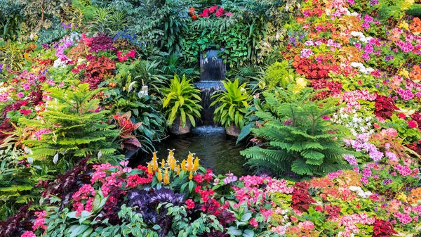 Fiori Estivi Multicolori Giardino Botanico Canadese — Foto Stock