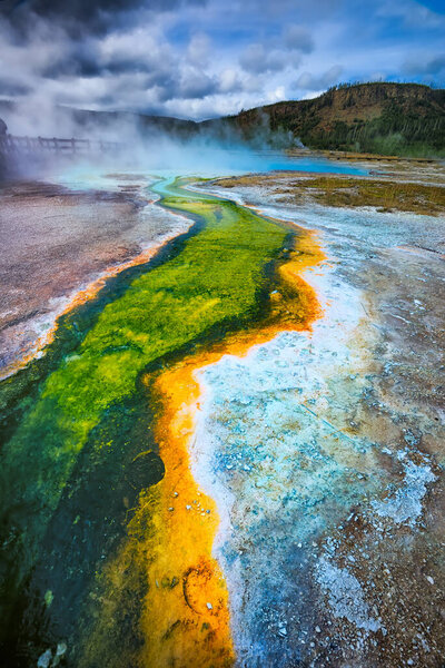 Bacterial growth in the soil of Yellowstone's Geyser Basin creating some amazing colors