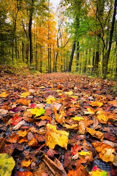 Sendero Las Montañas Humeantes Una Mañana Otoño Crujiente — Foto de Stock