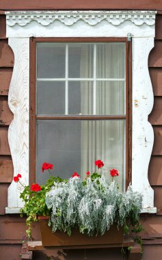 Yıpranmış beyaz çerçeveli dağ evi penceresi aksanlı kırmızı çiçekler
