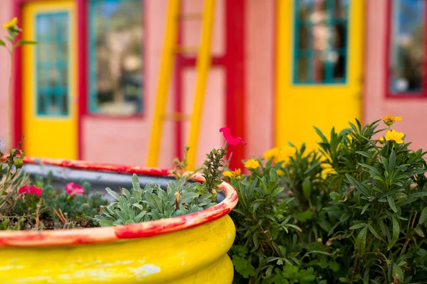 Veelkleurige Etalage Voorgevel Met Bloemendisplay Madrid — Stockfoto