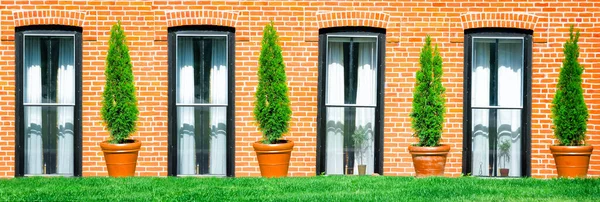 Four Windows Four Evergreen Bushes Arranged Repeating Pattern — Stock Photo, Image