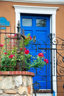 Santa Fe, NM 'de kırmızı güllerin açtığı eşsiz mavi kapı.