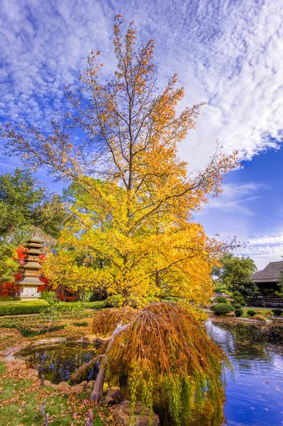 Japońska Pagoda Przylegająca Stawu Otoczona Kolorowymi Opadającymi Liśćmi — Zdjęcie stockowe