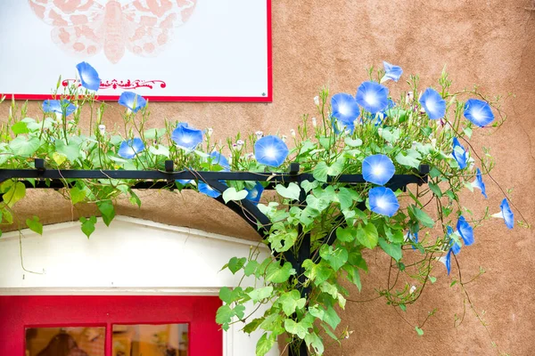 Blue Flowers Adorning Gallery Doorway Entrance Santa — Stock Photo, Image