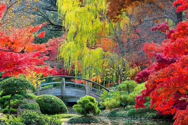 Puente Madera Arqueado Acentuado Por Los Colores Otoño Texas — Foto de Stock