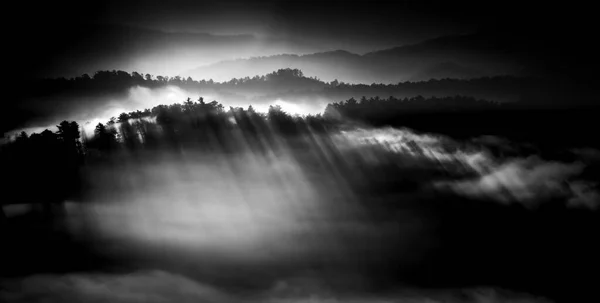 Eerie Light Casting Shadows Pine Trees Foggy Foothills Great Smoky — Stock Photo, Image