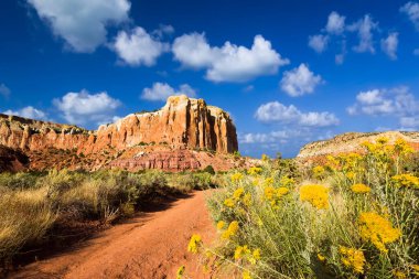 Öğleden sonra Kuzey New Mexico 'nun Kızıl Kayalar bölgesinde inanılmaz renkler ve kaya oluşumları var.