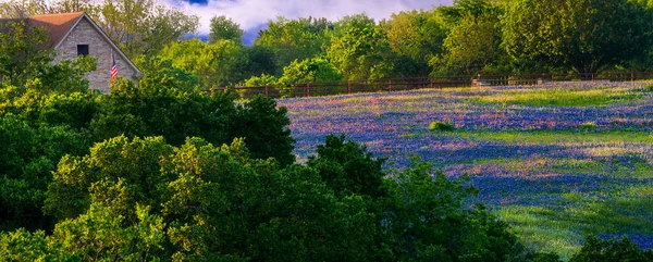 Champ Bonnets Bleus Pinceaux Indiens Sur Superficie Rurale Texas — Photo