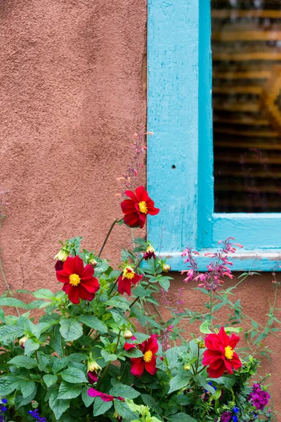 Heldere Rode Bloemen Accentueren Een Blauw Raam Binnen Een Adobe — Stockfoto