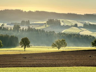 Huzurlu Avusturya kırsalında sezonluk renklerle çevrili özenli bir spa ile sonbahar inzivasına çekiliyoruz.