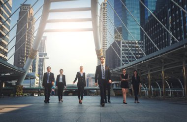 profesyonel iş takım