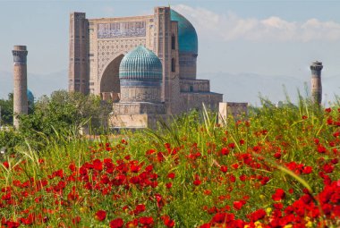Bibi Honum ile Poppies.