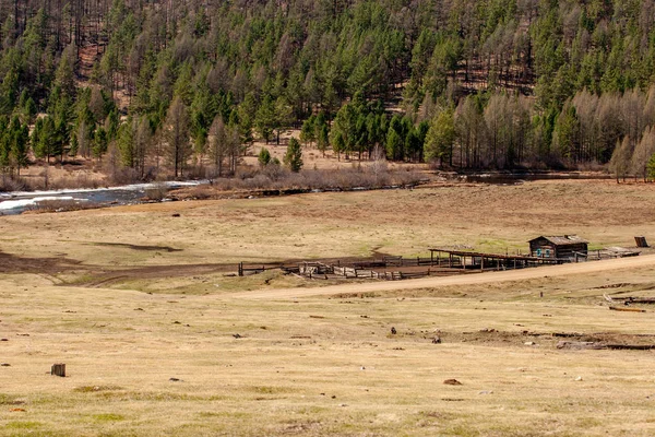 Ferme Dans Champ Bord Rivière Sur Fond Forêt Conifères Verdoyante — Photo