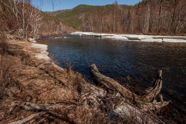 Floden Med Våren Bland Kullarna Älven Med Våren Förgrunden Stock — Stockfoto