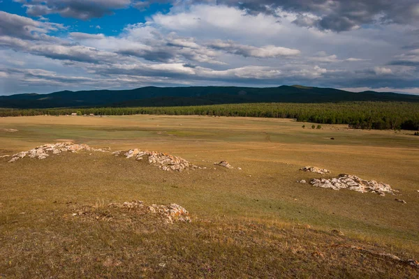 Vista Campo Con Pietre Bosco Con Colline Lontano Fattoria Foresta — Foto Stock