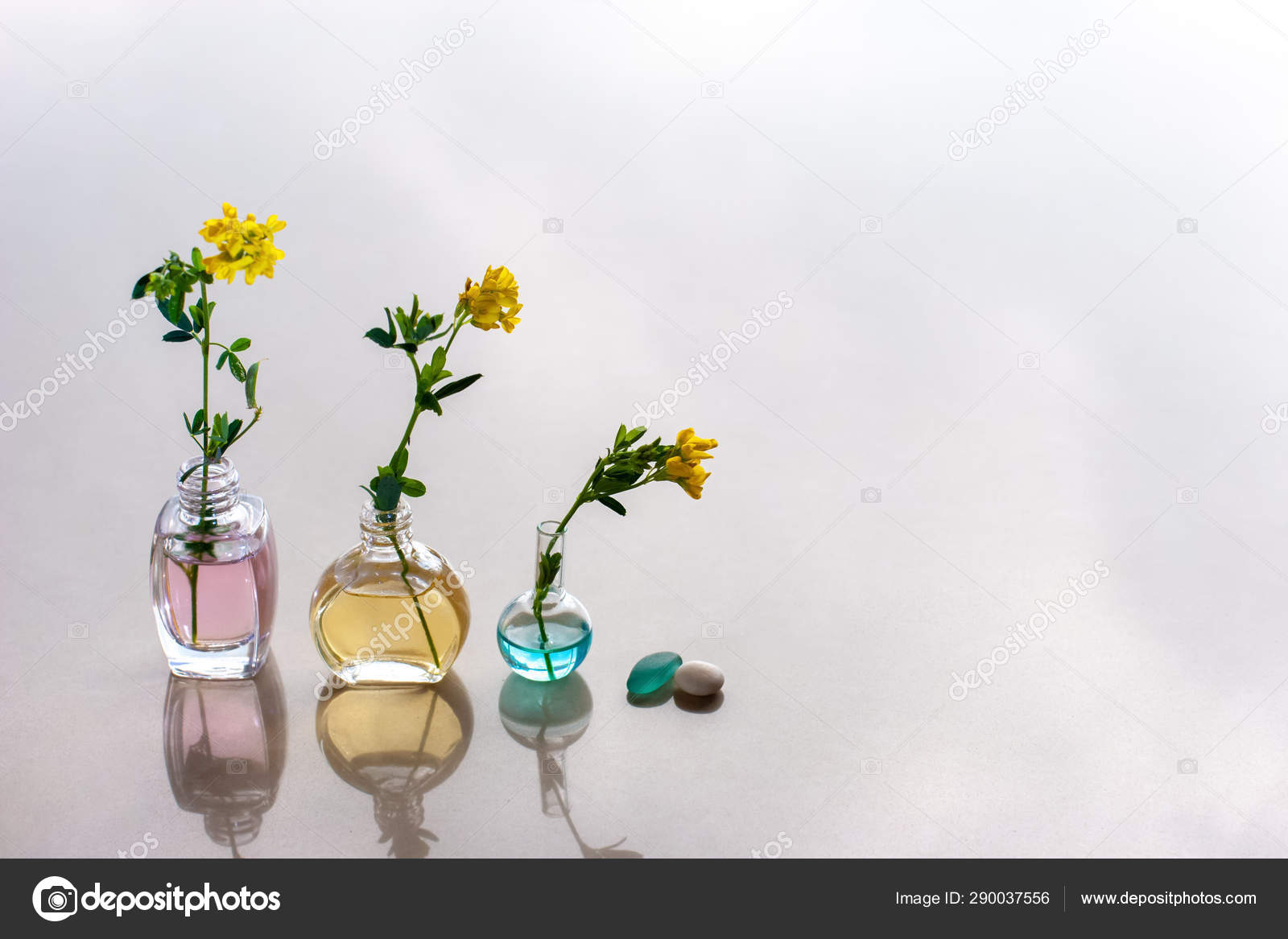 花line 背景 Homu Interia 花line 背景 Homu Interia