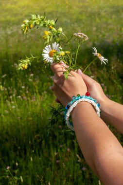 Güzel ev yapımı bilezik ile iki kadın elleri güneşli bir günde alanın arka planda papatyatutun. Tarlada bulanık çiçekler var. Ellere ve renklere seçici odaklanma.