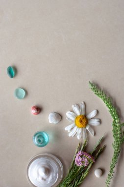 Düz görünüm. Dünya üzerindeki yaşamın soyutlama. Çiçekli bitkiler yerde yetişiyor gibi görünüyor, kabukları ile cam parçaları vardır, beyaz krem bir kavanoz var. Spa salonu için natürmort. Arka plan kahverengi seramik karo. Metin için bir yer var.