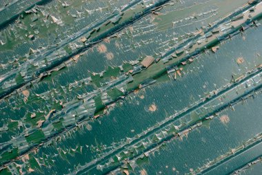 Yeşil metal panel polietilen ile yapıştırılmış. Selofan yırtılmış ve yıpranmış.