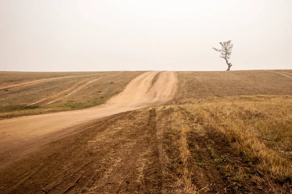 Minimalismo Camino Estepa Hacia Horizonte Donde Encuentra Árbol Solitario Cielo —  Fotos de Stock