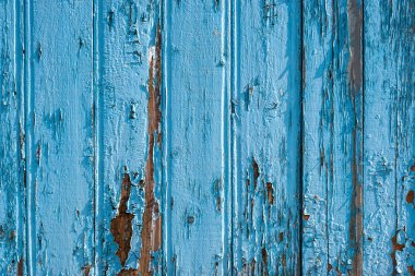 Çitin mavi tahtalarının dokusu. Tahtalar geniş, kırık eski boyayla, dikey olarak düzenlenmiş..