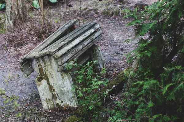 Old abandoned wooden bench in the forest. Broken boards. Peeling paint. Tinted. Horizontal.