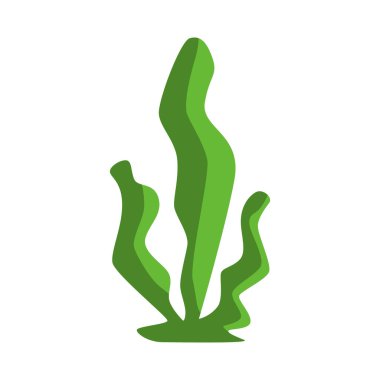 Yeşil yosun beyazda izole edilmiş. Üç uzun sapı uzamış. Vektör EPS10.