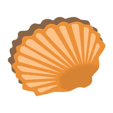 Yumuşakça kabuğu beyaza izole edilmiş. Kabuklu midye. Vektör EPS10.