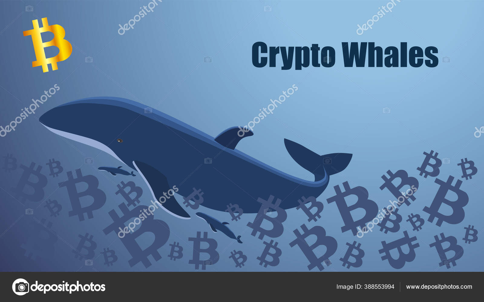 Concept Screen Crypto Whale Floating Sea Bitcoins Golden Bitcoin Icon Stock  Vector by ©k_v 388553994
