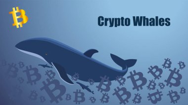 Bitcoin denizinde yüzen kripto balinalı bir ekran. Altın bitcoin ikonu. Web sitesi ya da haber illüstrasyonu şablonu. Mavi arka plan. Vektör EPS 10.