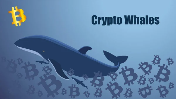 Concept Screen Crypto Whale Floating Sea Bitcoins Golden Bitcoin Icon — Stock Vector