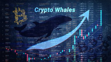 Yükselen bir ok ve yukarı doğru yükselen bir grafikle kripto balinalarının sayısı artıyor. Büyük BTC kümelerinde artış. Siyah arka planda para isimleri ve numaralar. Bitcoin logosu. Yatay.