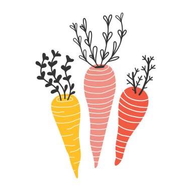 Handdrawn farklı renk ve şekil renkli havuç