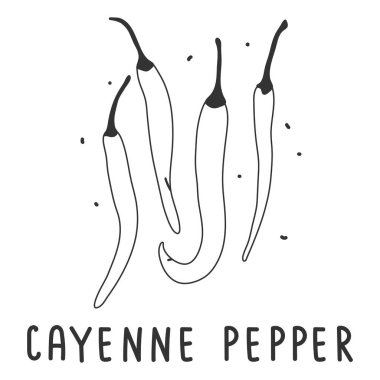 acı biber handdrawn çizim