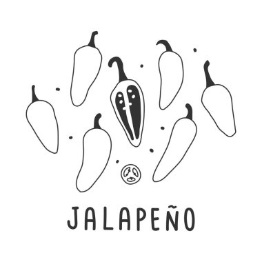  jalapeno biber handdrawn çizim