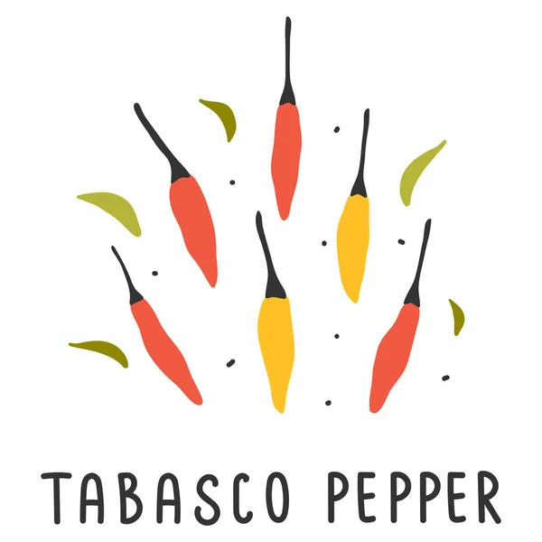 Tabasco sketch Vector Art Stock Images Depositphotos