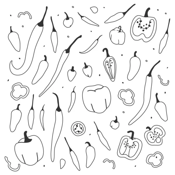 Handgezeichnete Vektorillustration, Sammlung verschiedener Arten von Chilipfeffer — Stockvektor