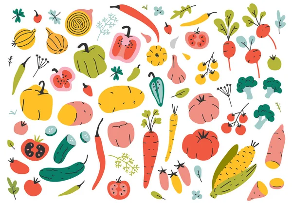 Colección de ilustraciones vectoriales de diferentes ingredientes vegetales cocineros. Imprimir póster con varias verduras . — Vector de stock