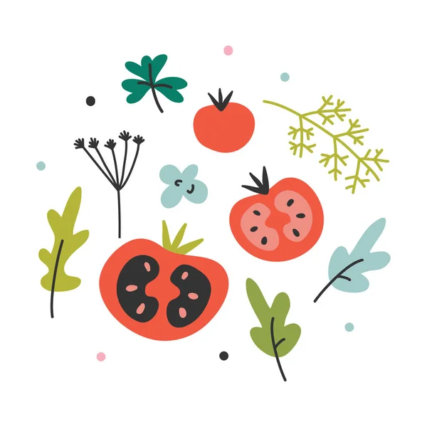 Vector illustraties van verschillende soorten tomaat. Hand getekende verschillende soorten tomaten groente. — Stockvector