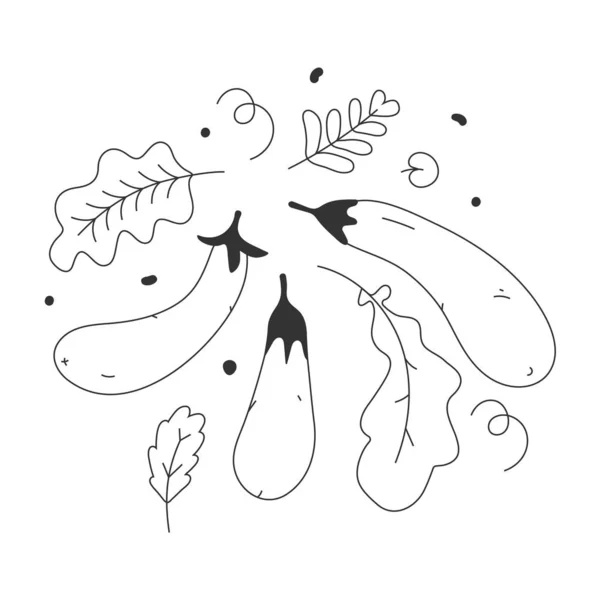 Koleksi gambar tangan vektor hitam dan putih dari sayuran terong. Garis besar Aubergine gambar dengan daun dalam gaya sketsa terisolasi - Stok Vektor