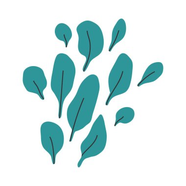 Ispanak illüstrasyon bırakır. El çizilmiş renkli vektör çizim resmi izole. Organik sağlıklı diyet gıda. 