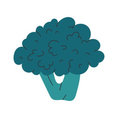 Brokoli çizimi. El çizilmiş renkli vektör illüstrasyon izole. Taze lezzetli yeşil lahana.