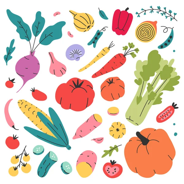 Raccolta di verdure disegnata a mano Doodle. Set di prodotti biologici in stile Doodle per la vendita al dettaglio, l'agricoltura, il mercato o la fiera. Illustrazioni vettoriali isolate di gustosi alimenti biologici freschi — Vettoriale Stock