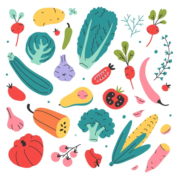 Legumes vetoriais isolados no fundo branco na moda mão desenhada doodle estilo plano. Desenho vetorial ilustração de desenhos de alimentos coloridos isolados para livro de culinária —  Vetores de Stock